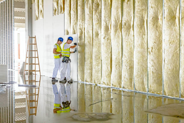 Best Insulation Maintenance and Repair in Huntsville, MO